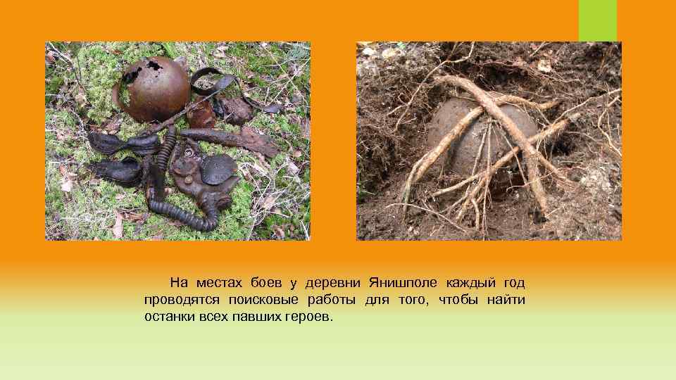  На местах боев у деревни Янишполе каждый год проводятся поисковые работы для того,