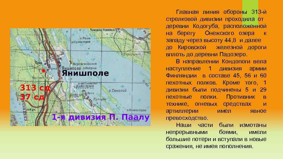 Главная линия обороны 313 -й стрелковой дивизии проходила от деревни Кодогуба, расположенной на берегу