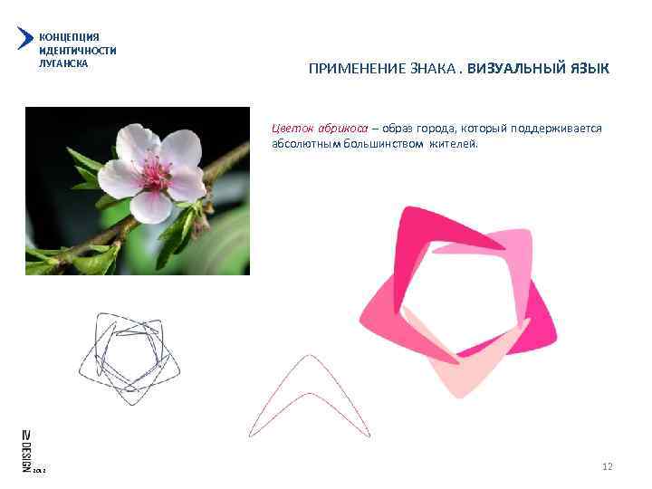 КОНЦЕПЦИЯ ИДЕНТИЧНОСТИ ЛУГАНСКА ПРИМЕНЕНИЕ ЗНАКА. ВИЗУАЛЬНЫЙ ЯЗЫК Цветок абрикоса – образ города, который поддерживается
