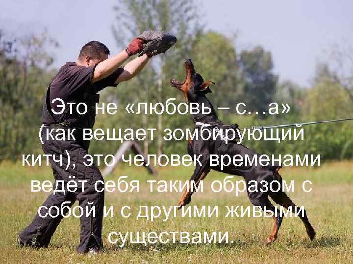 Это не «любовь – с…а» (как вещает зомбирующий китч), это человек временами ведёт себя