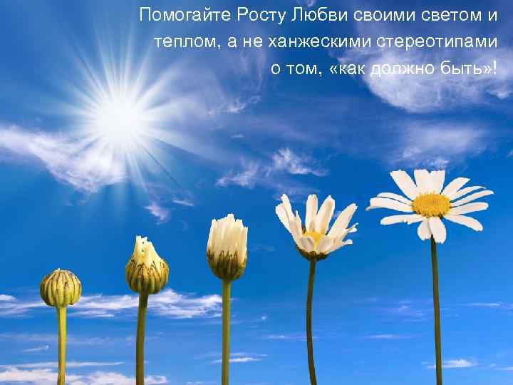 Помогайте Росту Любви своими светом и теплом, а не ханжескими стереотипами о том, «как