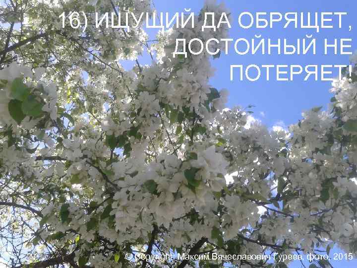 16) ИЩУЩИЙ ДА ОБРЯЩЕТ, ДОСТОЙНЫЙ НЕ ПОТЕРЯЕТ! © Copyright: Максим Вячеславович Гуреев, фото, 2015