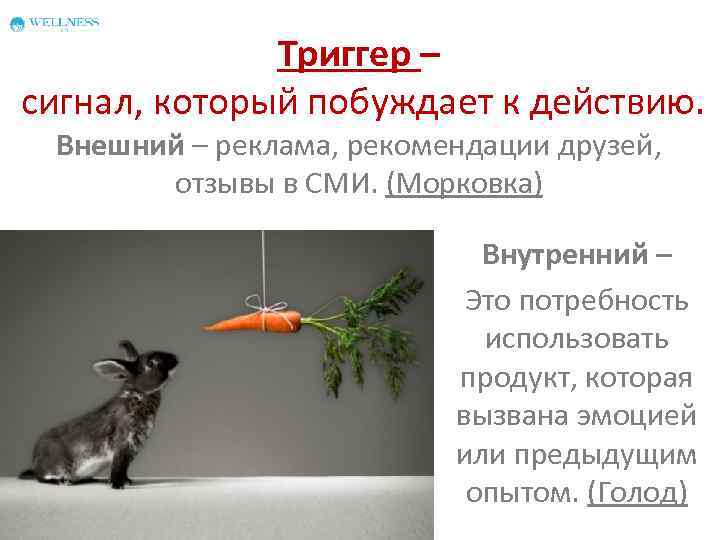 Триггер – сигнал, который побуждает к действию. Внешний – реклама, рекомендации друзей, отзывы в