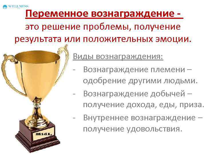 Вознаграждение это. Переменное вознаграждение. Виды переменного вознаграждения. Привычки успеха. Виды вознаграждение людей за положительные Результаты.