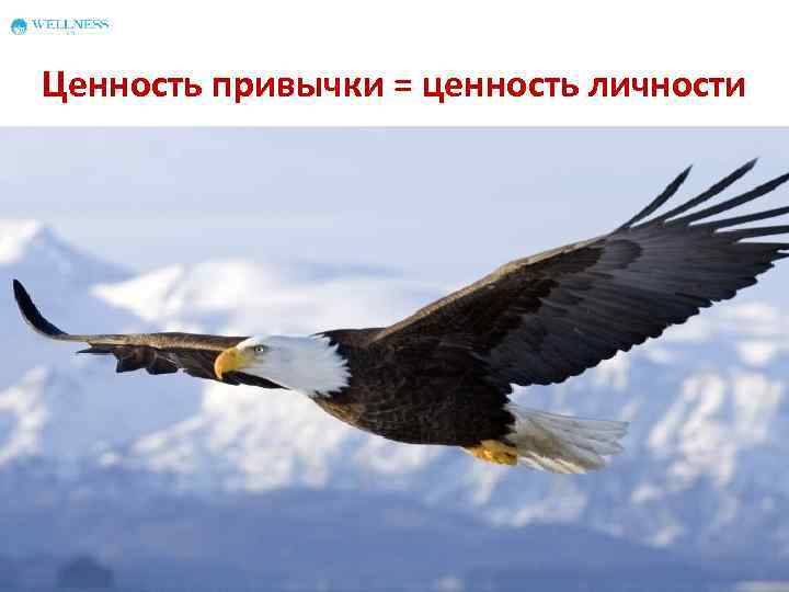 Ценность привычки = ценность личности 