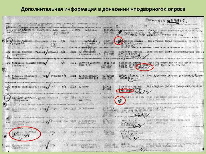 Дополнительная информация в донесении «подворного» опроса 