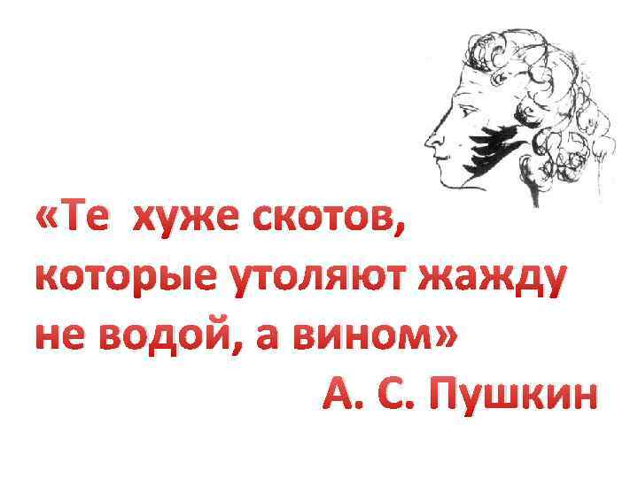  «Те хуже скотов, которые утоляют жажду не водой, а вином» А. С. Пушкин