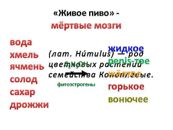  «Живое пиво» - мёртвые мозги вода жидкое хмель (лат. Húmulus) — род penis-тое