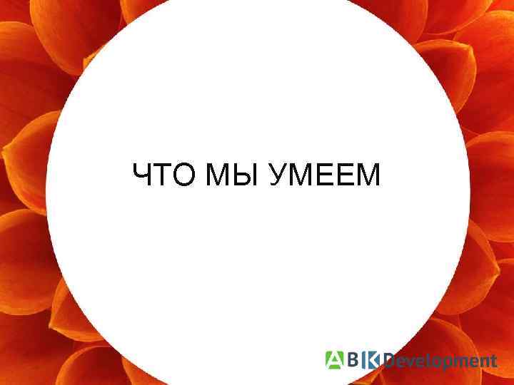 ЧТО МЫ УМЕЕМ ‹#› 