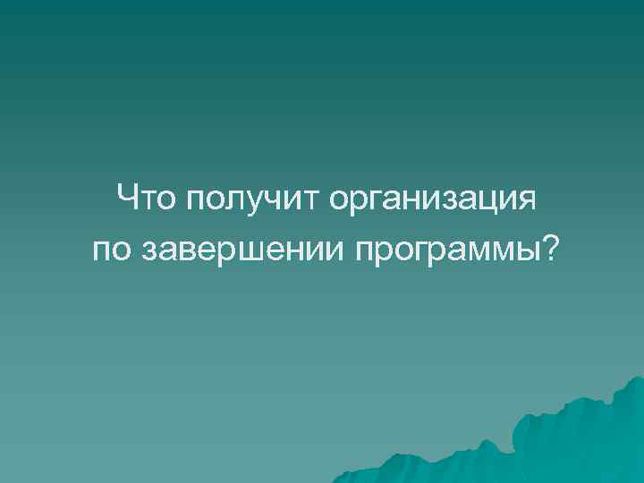 Что получит организация по завершении программы? 