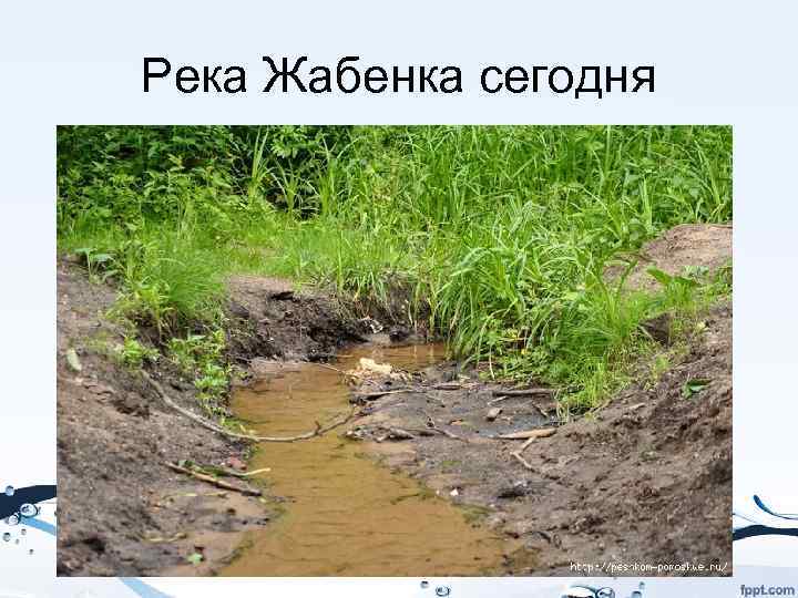 Река Жабенка сегодня 