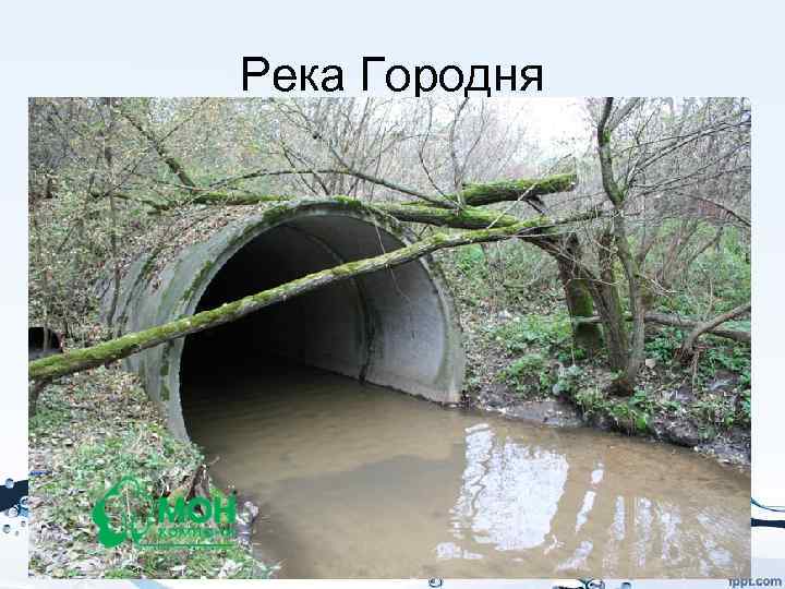Река Городня 