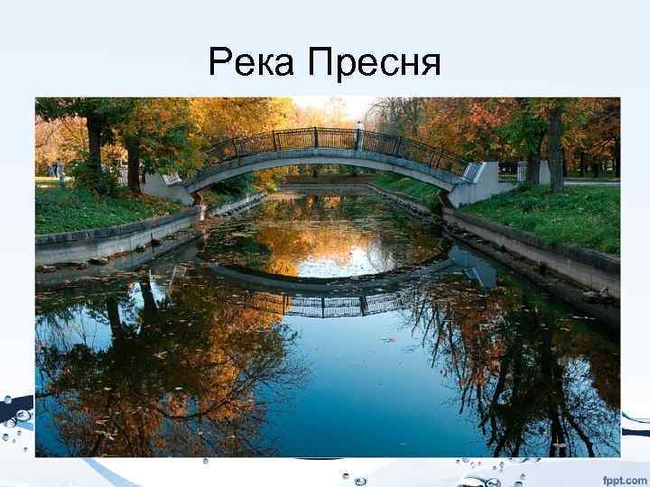 Река Пресня 