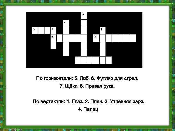 3 2 5 1 4 6 8 7 По горизонтали: 5. Лоб. 6. Футляр