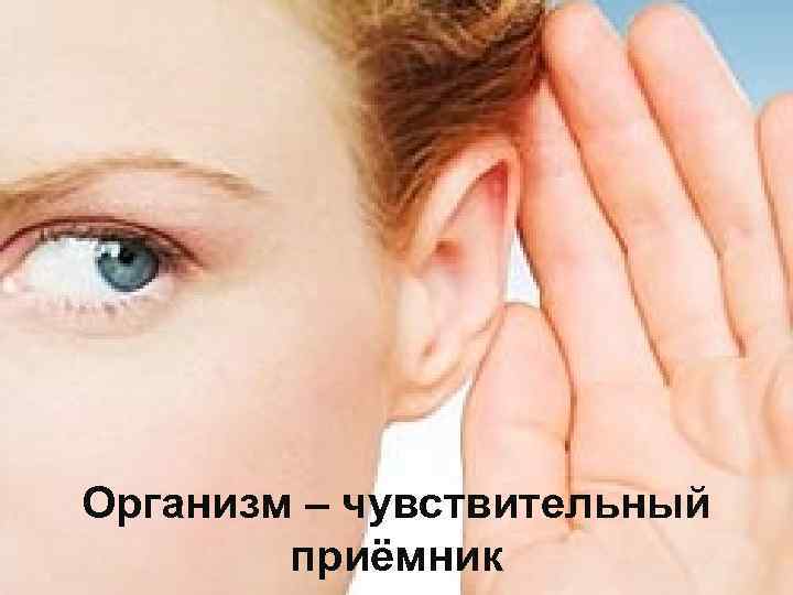 Организм – чувствительный приёмник 