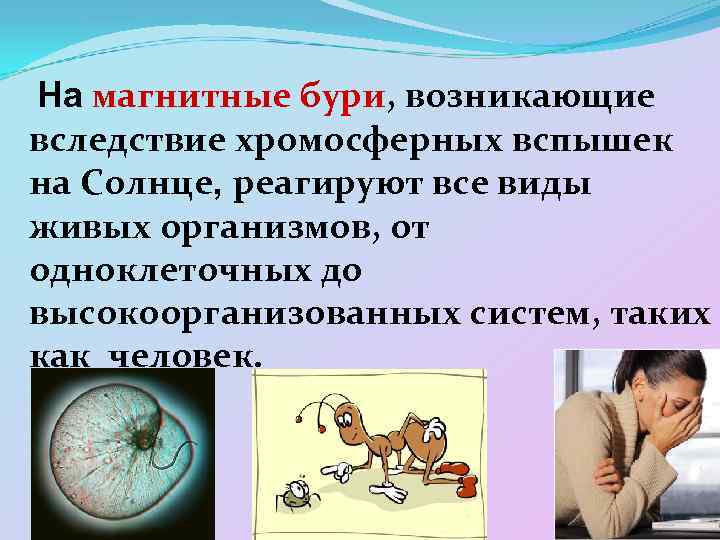 На магнитные бури, возникающие вследствие хромосферных вспышек на Солнце, реагируют все виды живых организмов,