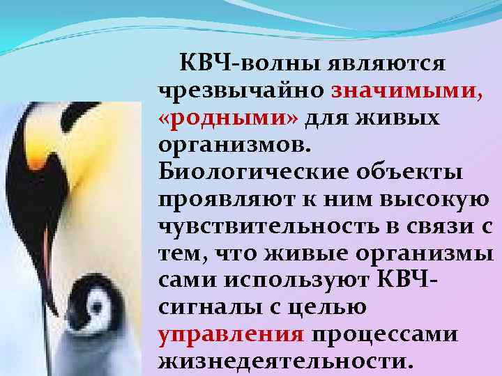 КВЧ-волны являются чрезвычайно значимыми, «родными» для живых организмов. Биологические объекты проявляют к ним высокую