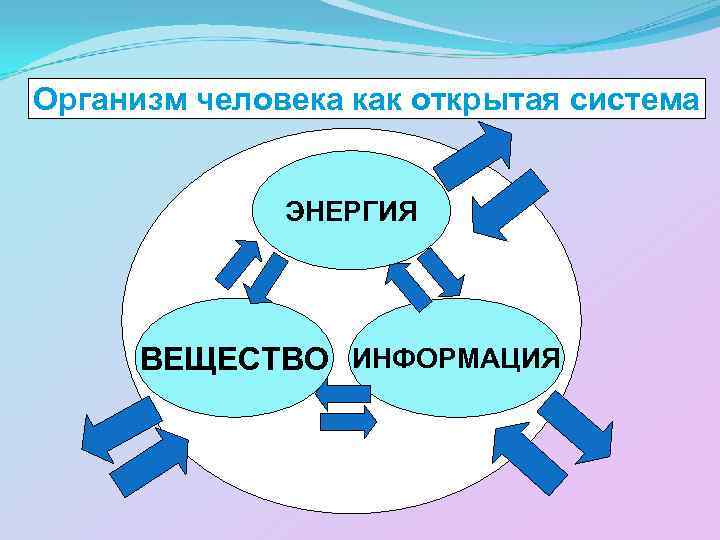 Организм человека как открытая система ЭНЕРГИЯ ВЕЩЕСТВО ИНФОРМАЦИЯ 