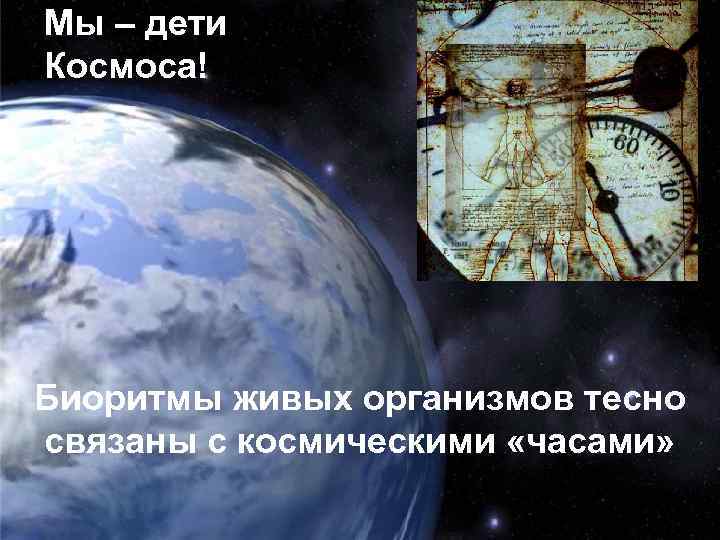 Мы – дети Космоса! Биоритмы живых организмов тесно связаны с космическими «часами» 