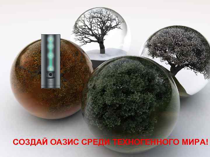 СОЗДАЙ ОАЗИС СРЕДИ ТЕХНОГЕННОГО МИРА! 