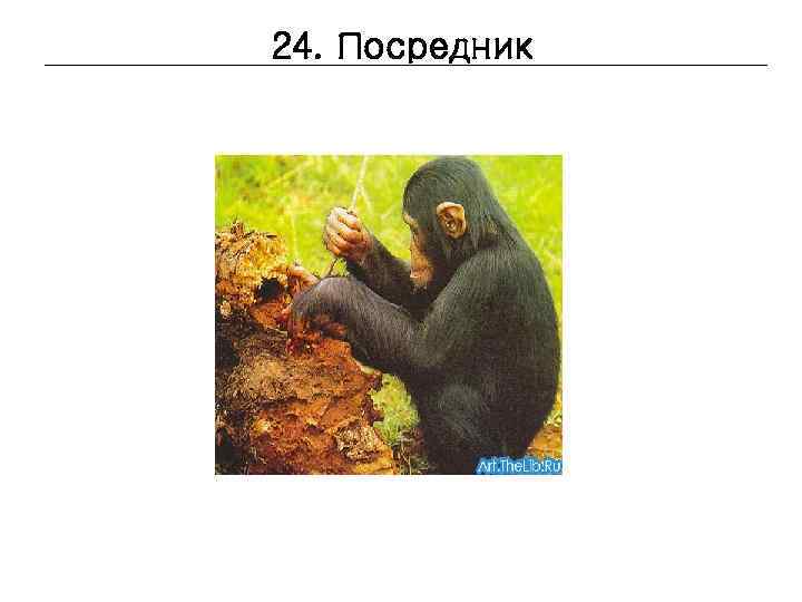 24. Посредник 