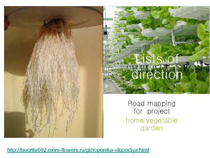 Lists of direction Road mapping for project home vegetable garden http: //favorite 002. more-flowers.