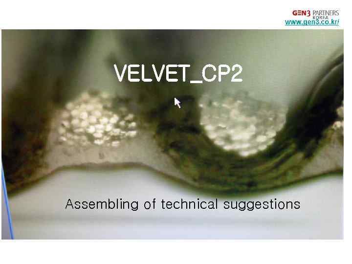 VELVET_CP 2 Assembling of technical suggestions 