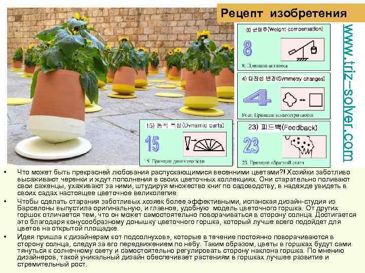 Рецепт изобретения www. triz-solver. com • • • Что может быть прекрасней любования распускающимися