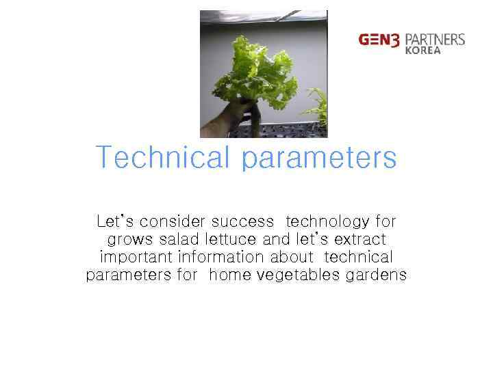 Technical parameters Let’s consider success technology for grows salad lettuce and let’s extract important