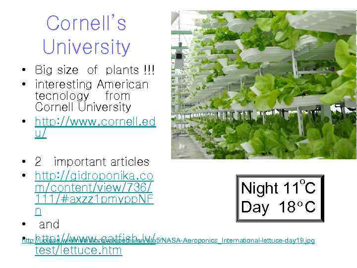 Cornell’s University • Big size of plants !!! • interesting American tecnology from Cornell