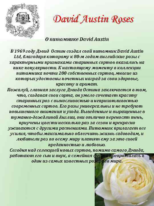 David Austin Roses О питомнике David Austin В 1969 году Дэвид Остин создал свой