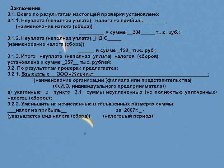 . Заключение 3. 1. Всего по результатам настоящей проверки установлено: 3. 1. 1. Неуплата