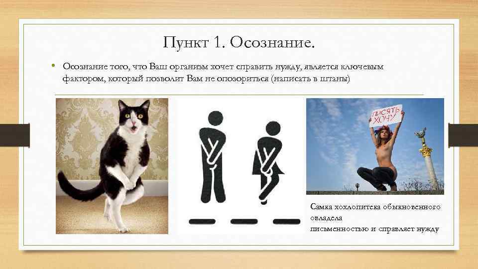 Пункт 1. Осознание. • Осознание того, что Ваш организм хочет справить нужду, является ключевым
