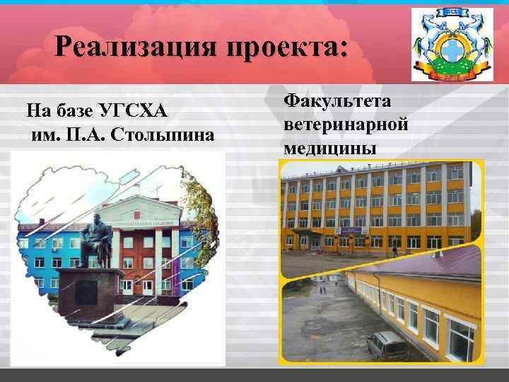 Реализация проекта: На базе УГСХА им. П. А. Столыпина Факультета ветеринарной медицины 