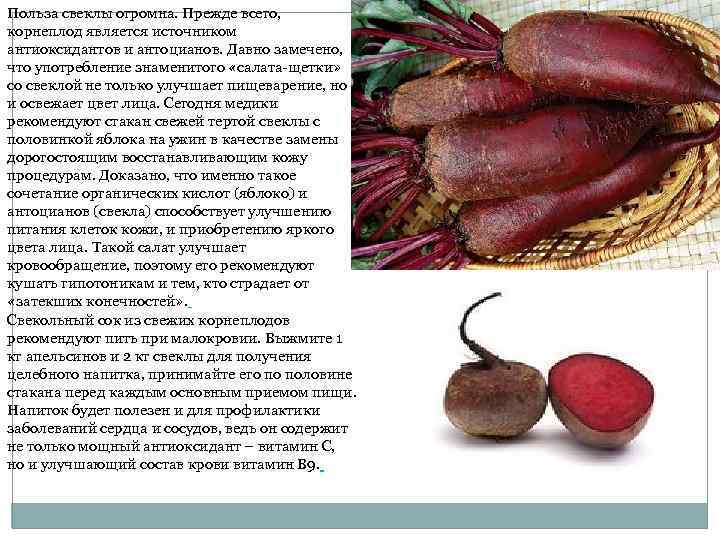 Польза свеклы огромна. Прежде всего, корнеплод является источником антиоксидантов и антоцианов. Давно замечено, что