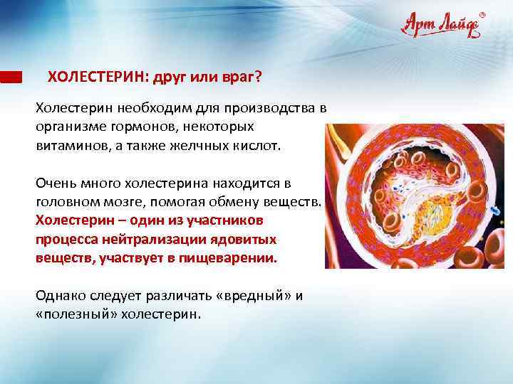 ХОЛЕСТЕРИН: друг или враг? Холестерин необходим для производства в. организме гормонов, некоторых витаминов, а