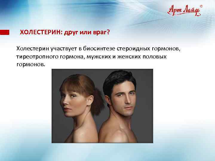 ХОЛЕСТЕРИН: друг или враг? . Холестерин участвует в биосинтезе стероидных гормонов, тиреотропного гормона, мужских
