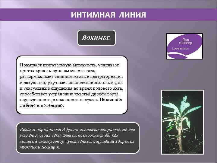 ИНТИМНАЯ ЛИНИЯ ЙОХИМБЕ Повышает двигательную активность, усиливает приток крови к органам малого таза, растормаживает
