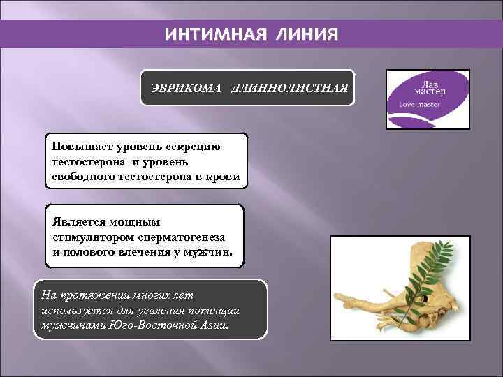 ИНТИМНАЯ ЛИНИЯ ЭВРИКОМА ДЛИННОЛИСТНАЯ Повышает уровень секрецию тестостерона и уровень свободного тестостерона в крови