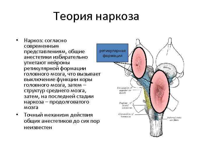 История открытия и внедрения наркоза презентация