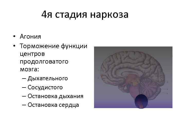 4 я стадия наркоза • Агония • Торможение функции центров продолговатого мозга: – Дыхательного