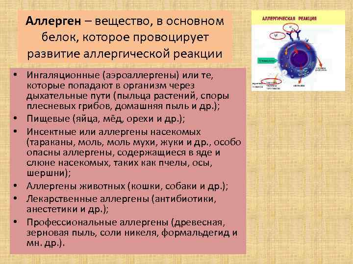 Аллерген – вещество, в основном белок, которое провоцирует развитие аллергической реакции • Ингаляционные (аэроаллергены)