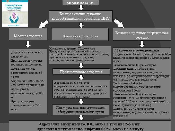 АНАФИЛАКСИЯ Быстрая оценка дыхания, кровообращения и состояния ЦНС Местная терапия устранение контакта c аллергеном