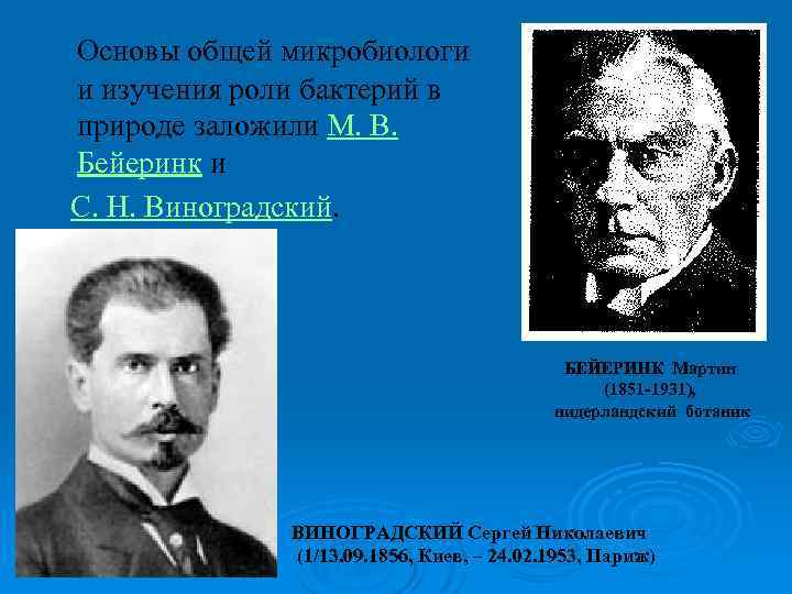 Основы общей микробиологи и изучения роли бактерий в природе заложили М. В. Бейеринк и