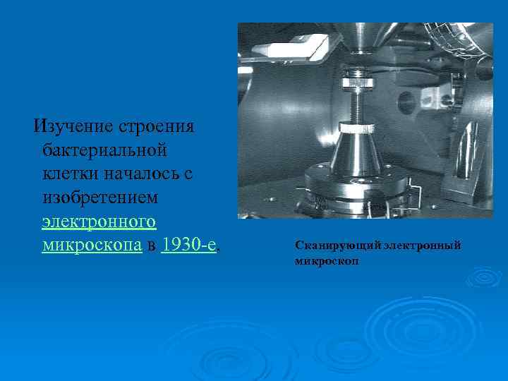 Изучение строения бактериальной клетки началось с изобретением электронного микроскопа в 1930 -е. Сканирующий электронный