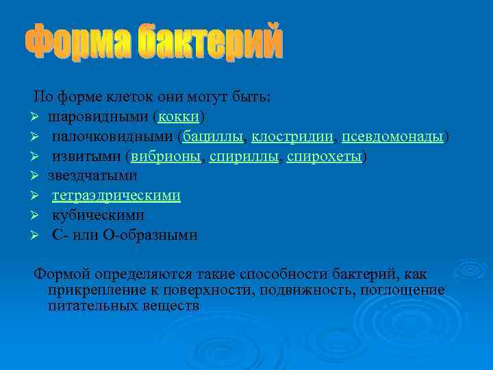 По форме клеток они могут быть: Ø шаровидными (кокки) Ø палочковидными (бациллы, клостридии, псевдомонады)