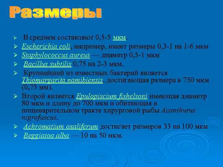 Ø Ø Ø Ø В среднем составляют 0, 5 -5 мкм. Escherichia coli, например,