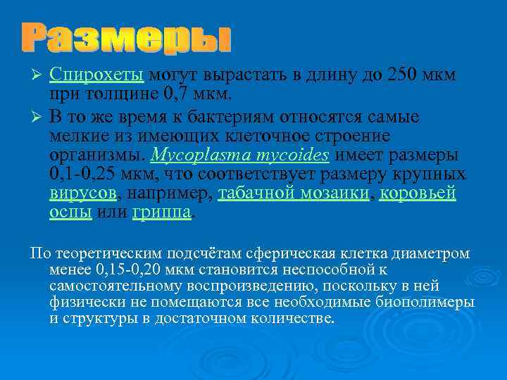 Спирохеты могут вырастать в длину до 250 мкм при толщине 0, 7 мкм. Ø