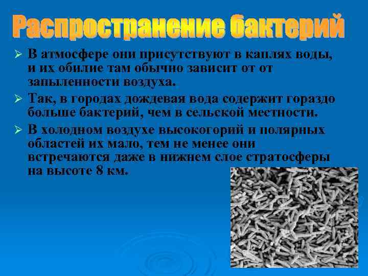 В атмосфере они присутствуют в каплях воды, и их обилие там обычно зависит от
