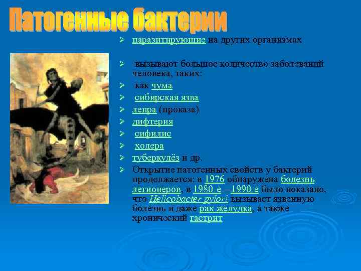 Ø паразитирующие на других организмах Ø вызывают большое количество заболеваний человека, таких: как чума